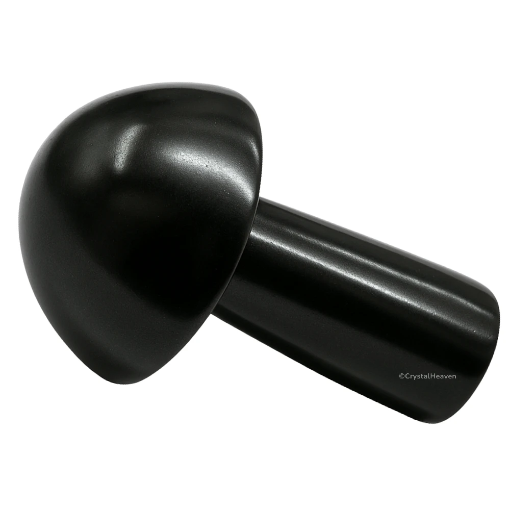 Black Tourmaline Mushroom
