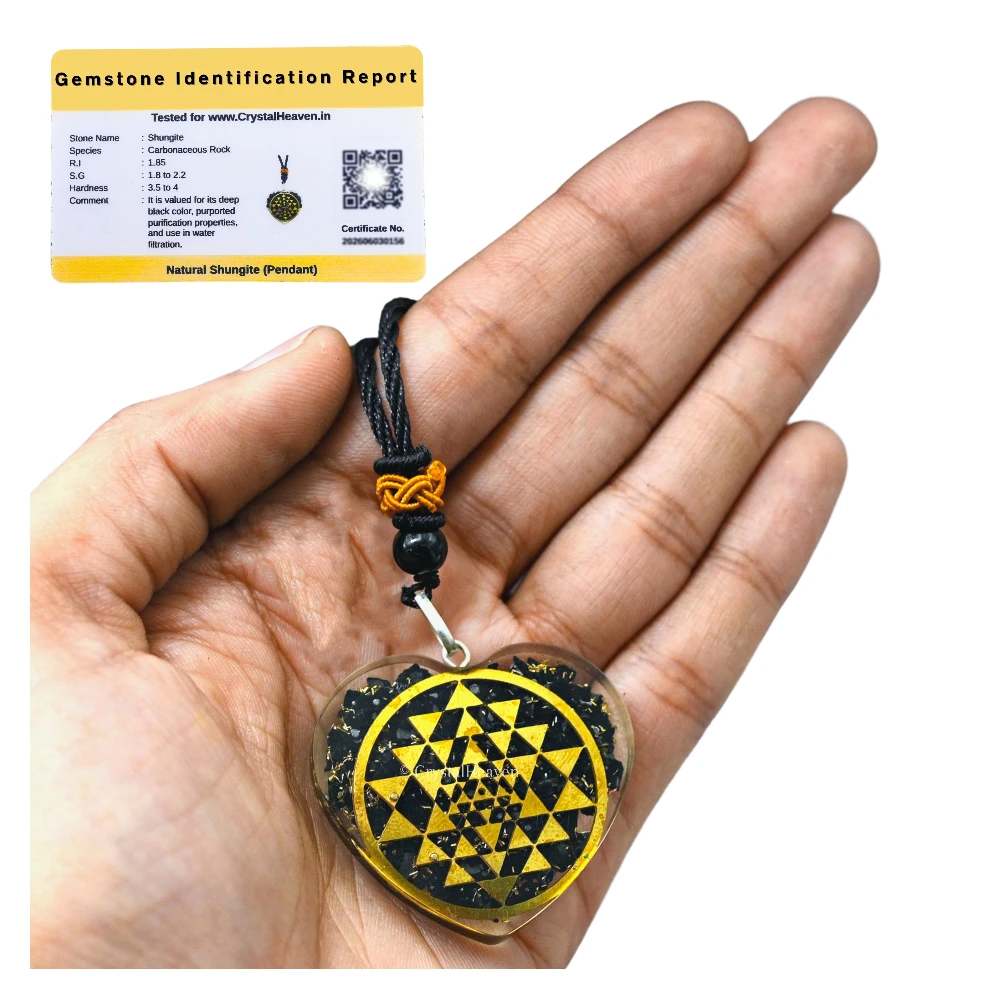 Shungite Necklace - Round Shriyantra(Heart)