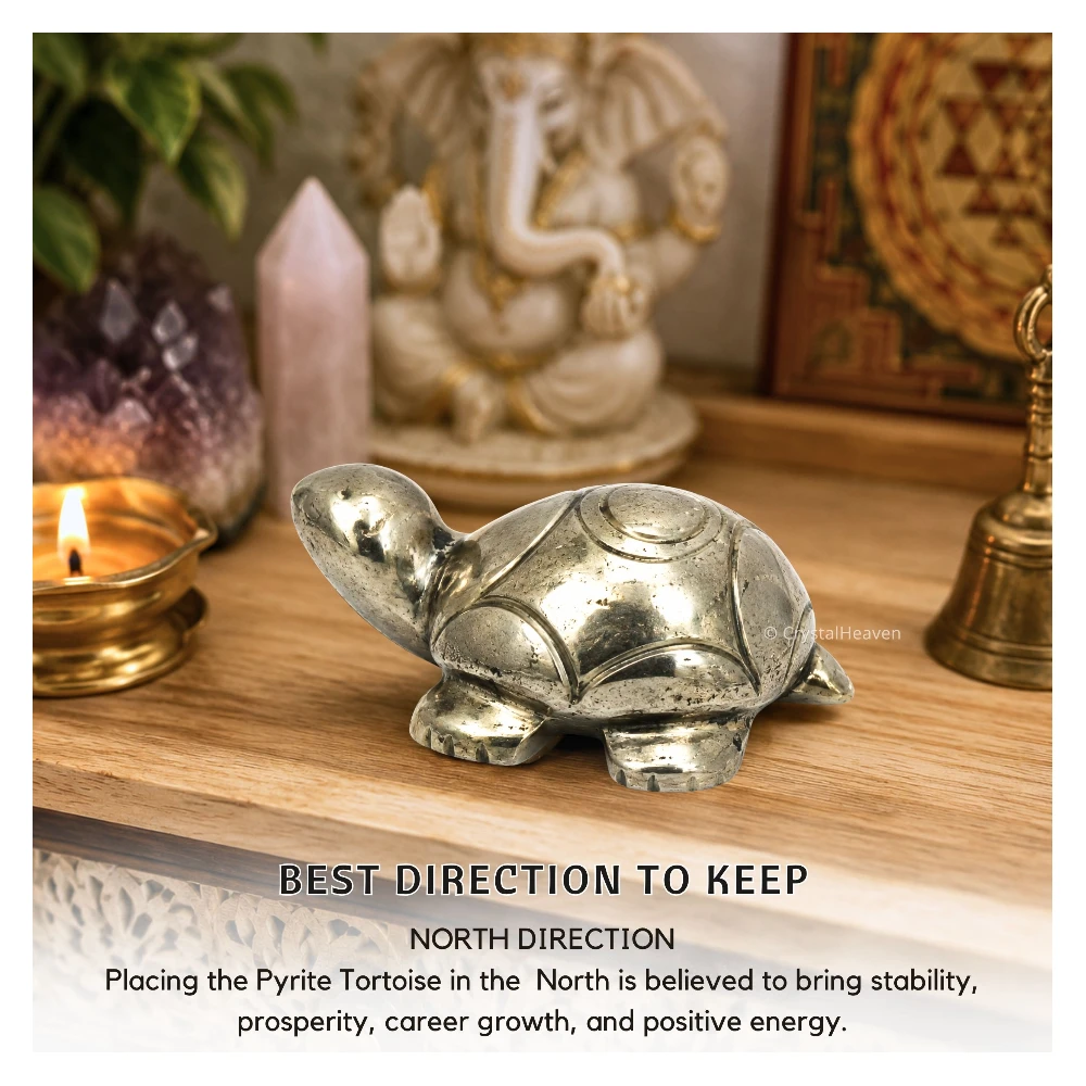 Pyrite Tortoise Kachhua