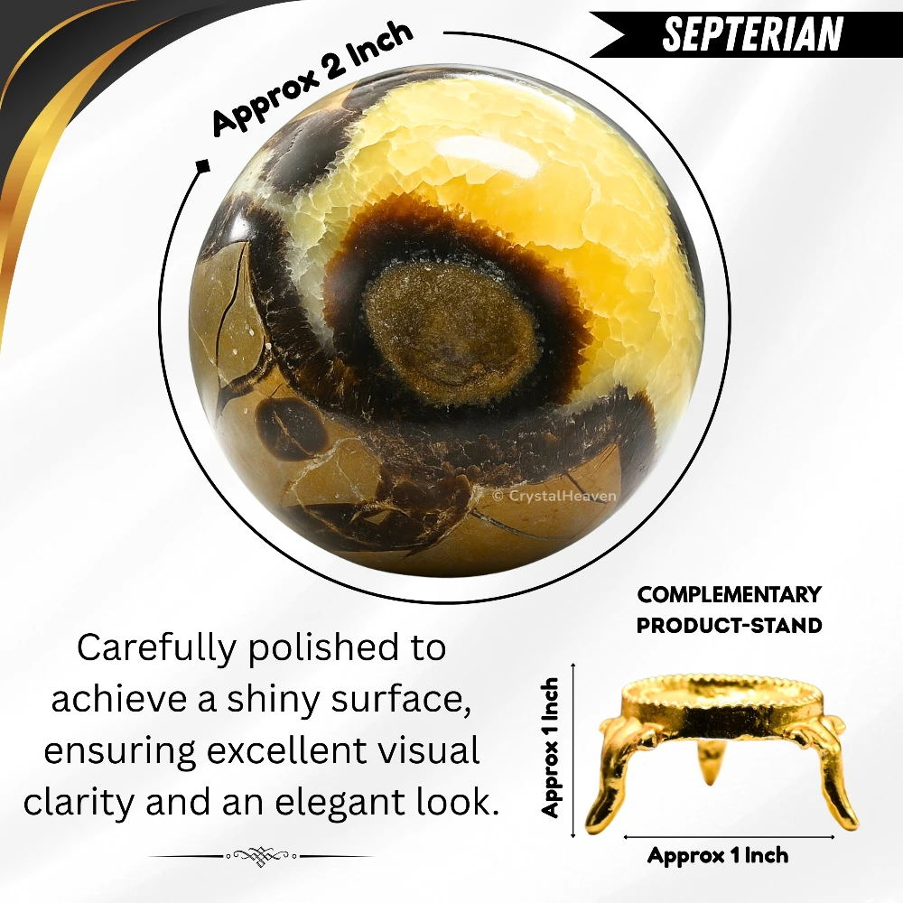 Septarian Sphere (2 Inch)