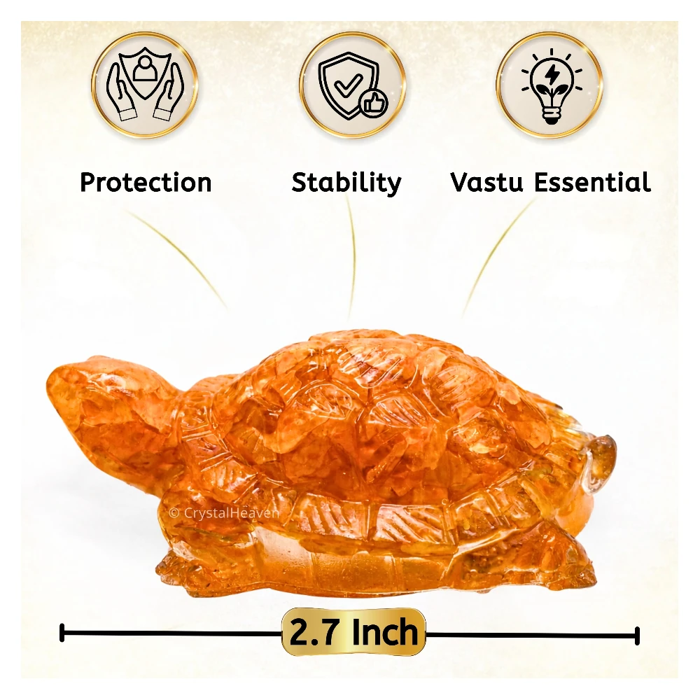 Citrine Onyx Tortoise Kachhua