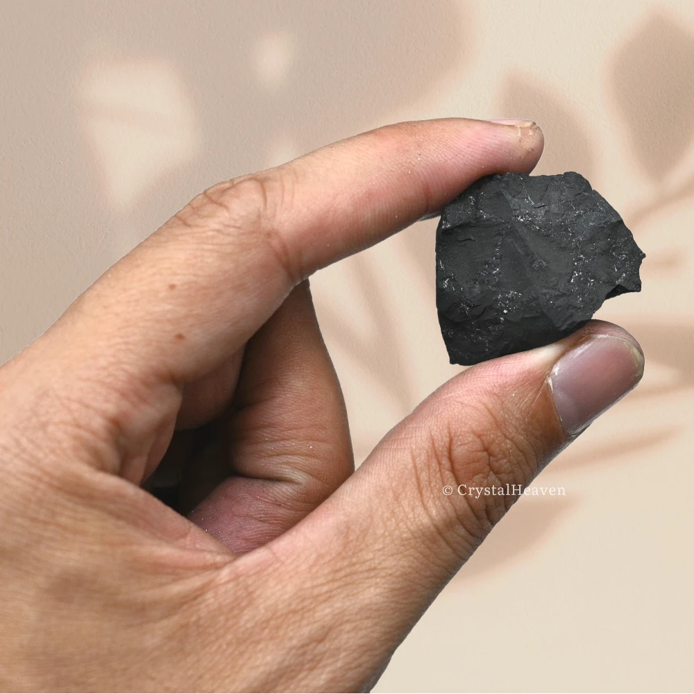 Raw Shungite Crystals (2 Pieces)