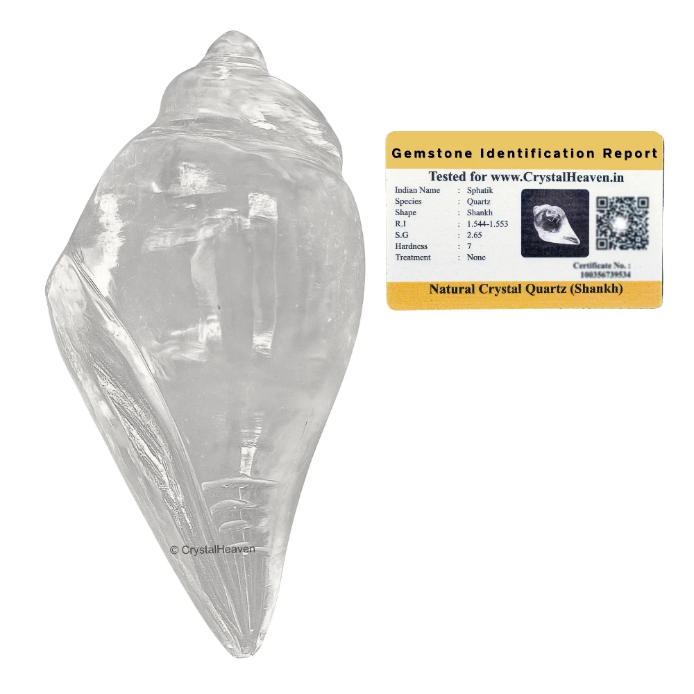 Sphatik Shankh Shell (10-20 Gram)