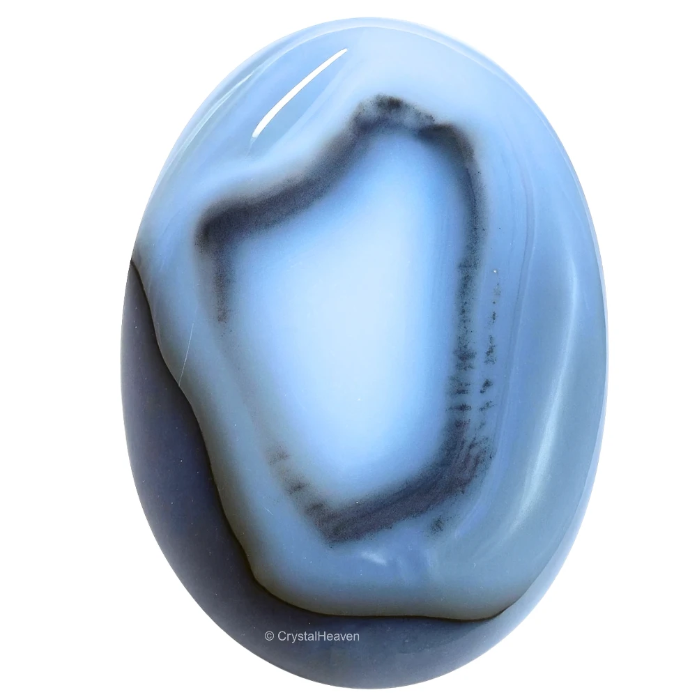Dendrite Agate Palm Stone