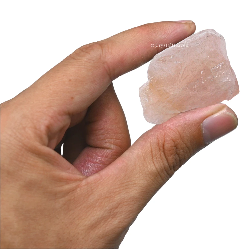 Raw Star Rose Quartz Crystals (5 Pieces)