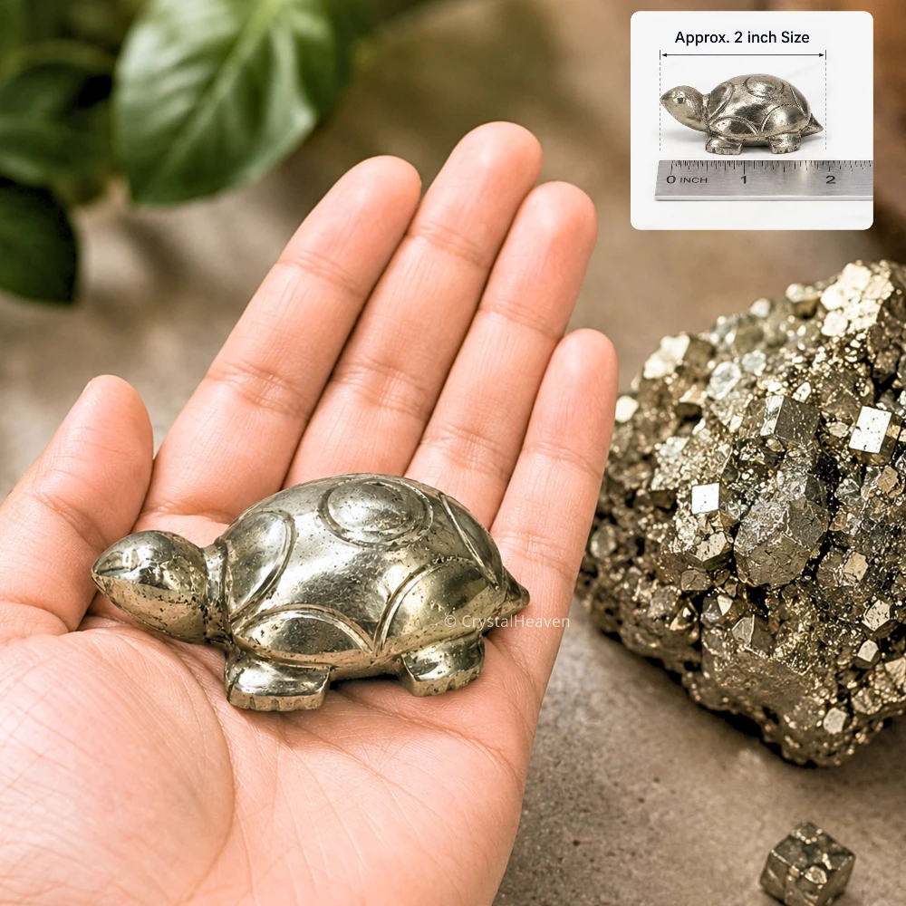 Pyrite Tortoise Kachhua