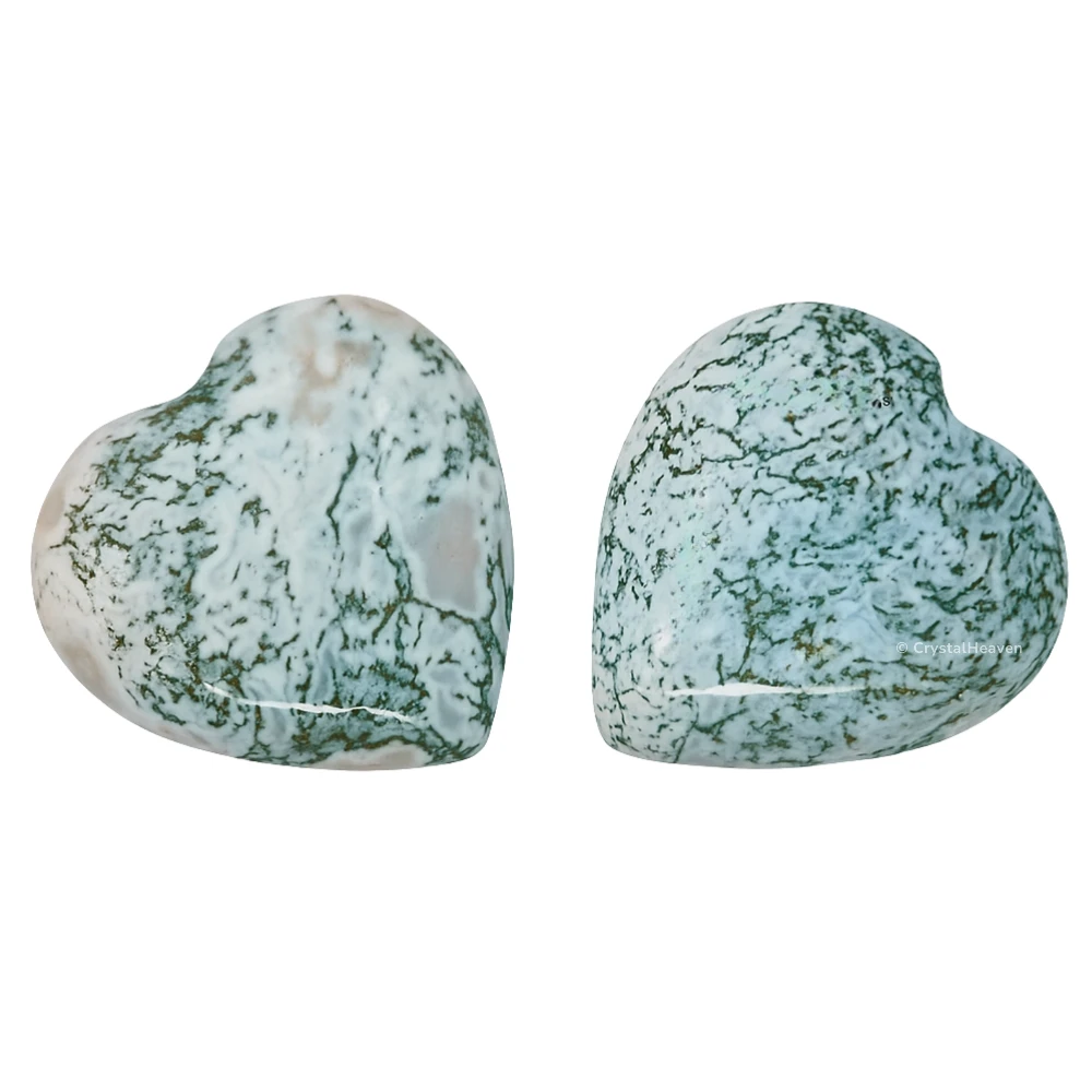 Tree Agate Mini Heart (Pack of 2)