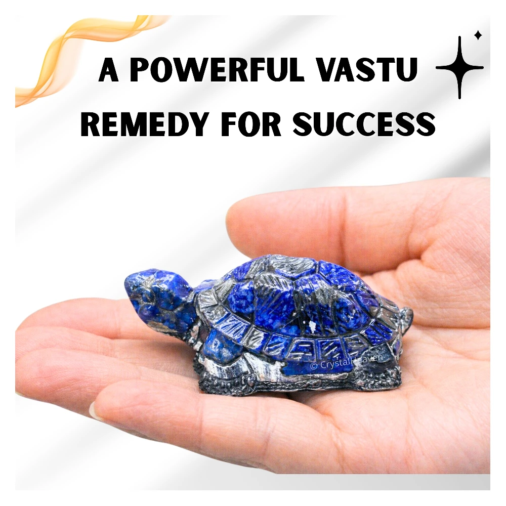 Lapis Lazuli Tortoise Kachhua