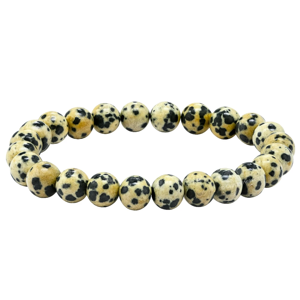 Dalmatian Jasper Bracelet (Elastic)