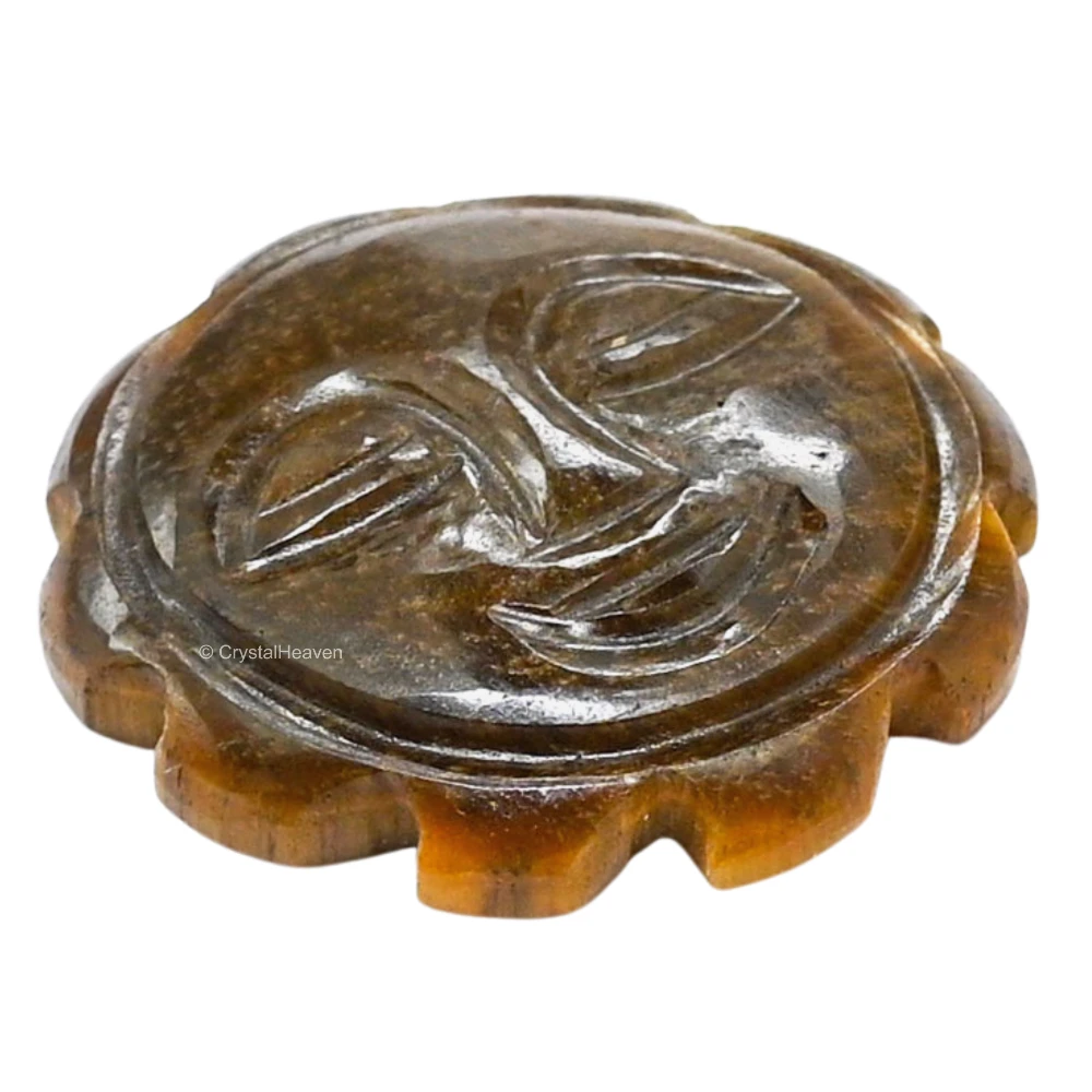Tiger Eye Surya Face