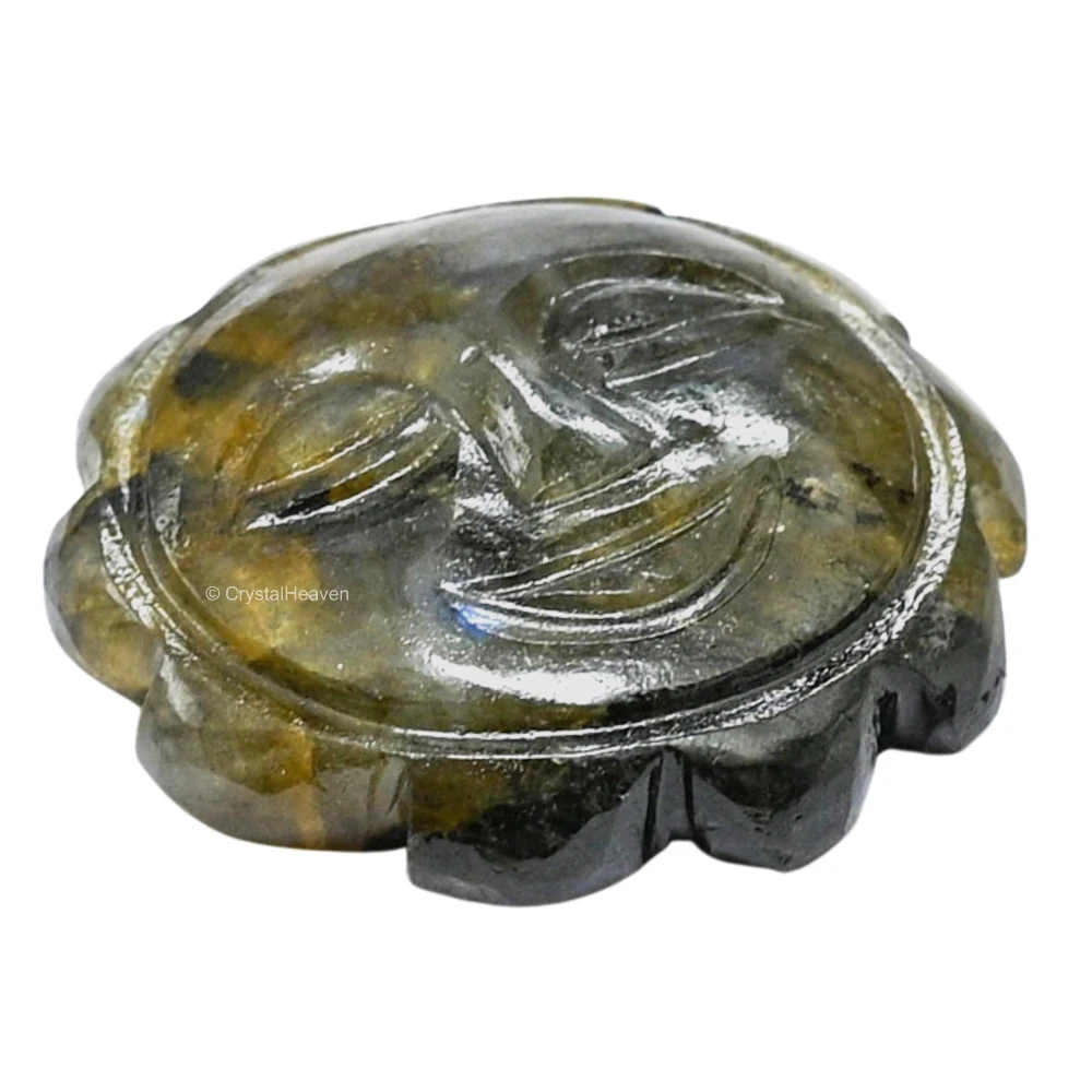 Labradorite Surya Face