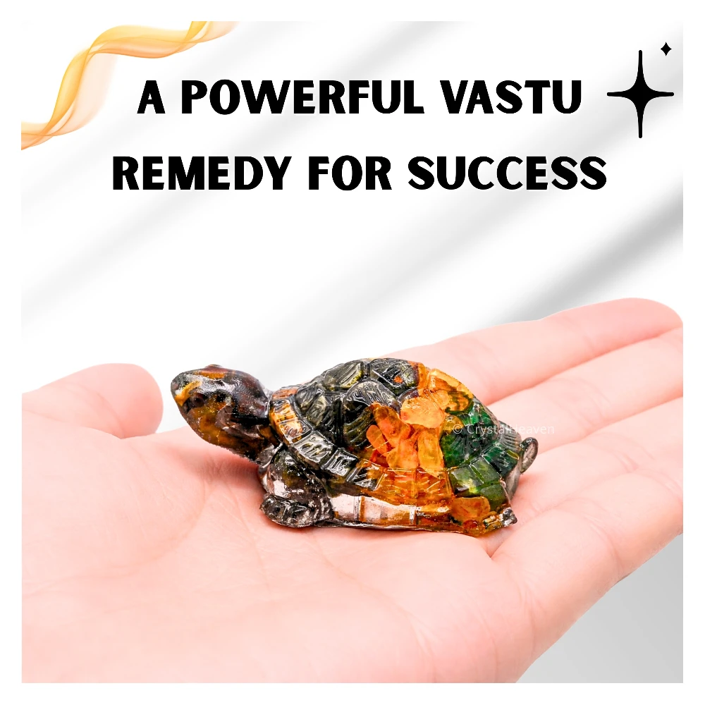 Dhanyog Tortoise Kachhua