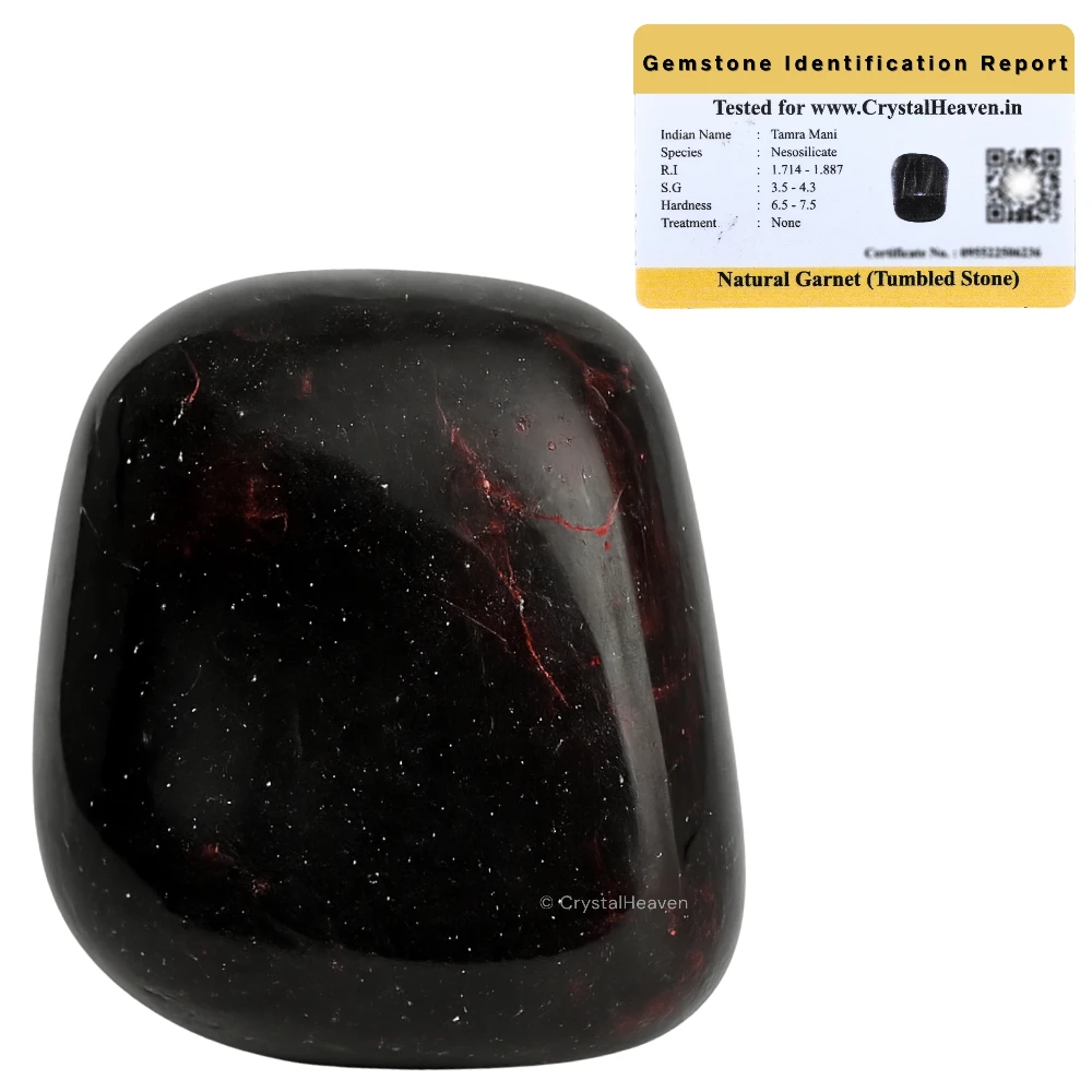 Tumbled Garnet Stones (30 Gram)