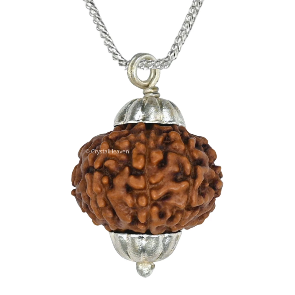 9 Mukhi Rudraksha Pendant