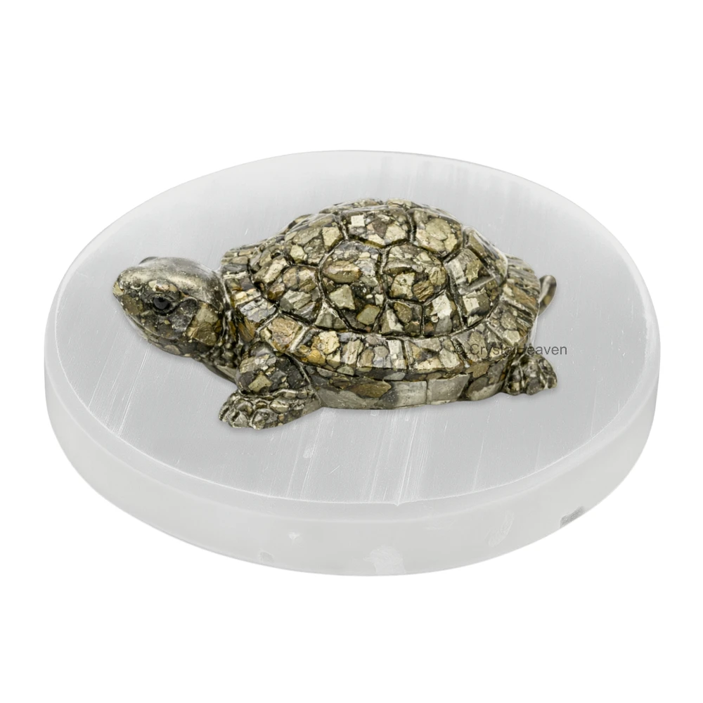 Pyrite Tortoise Kachhua with Selenite (Plate)