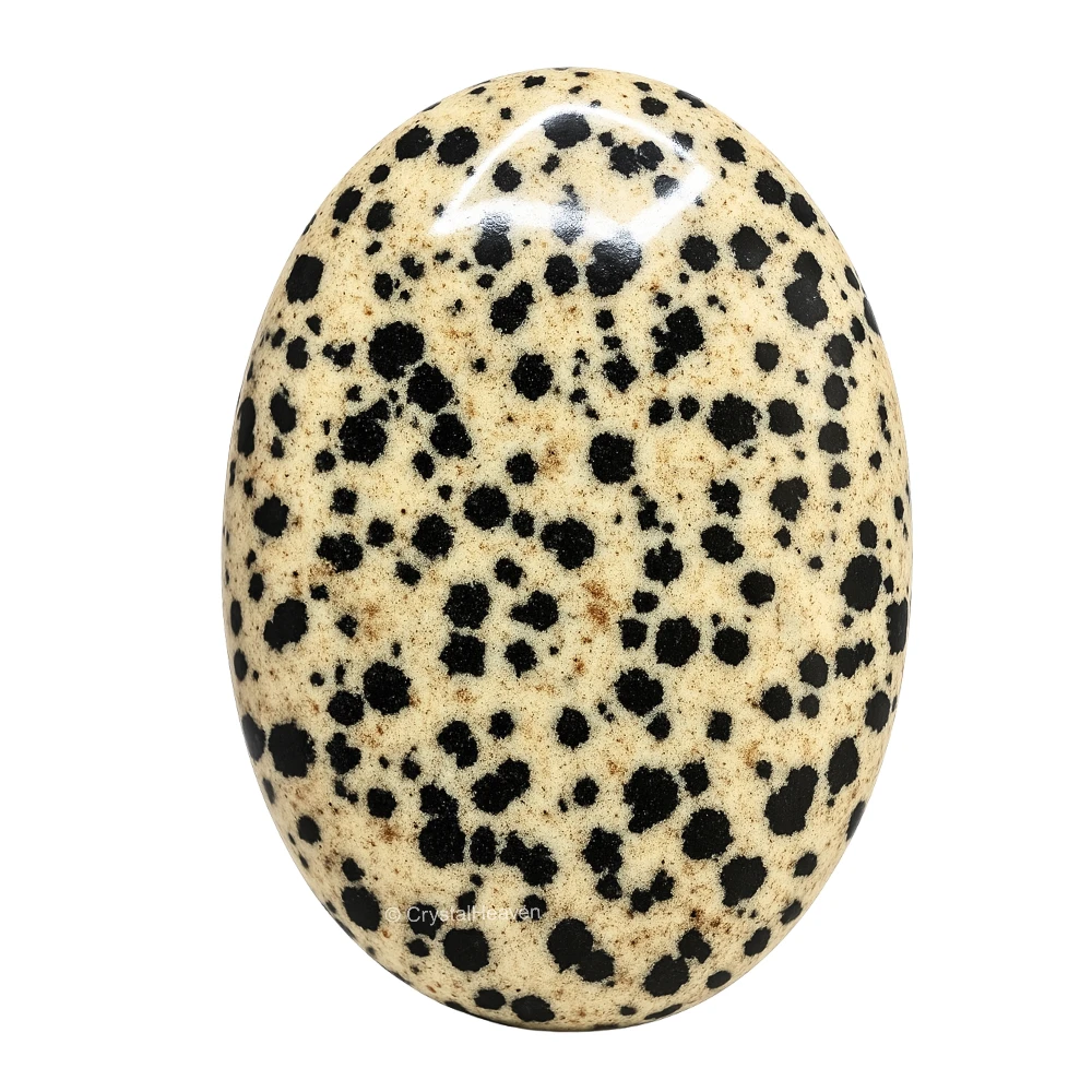 Dalmatian Jasper Palm Stone