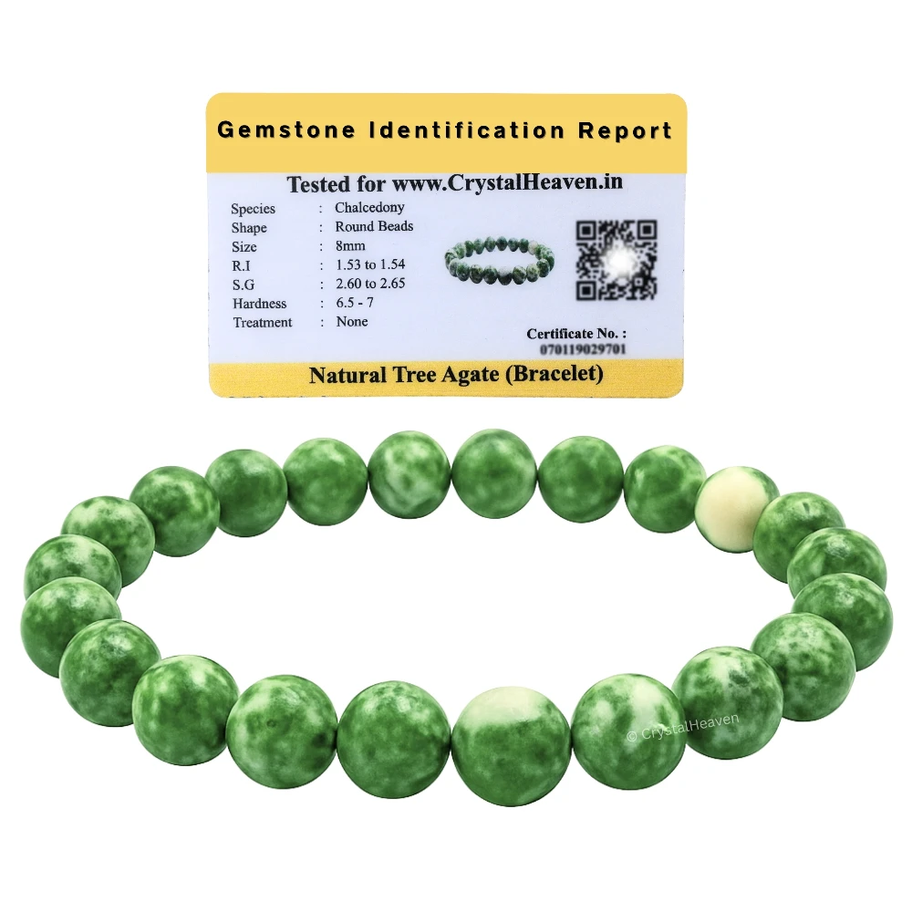 Tree Agate Bracelet (Elastic)
