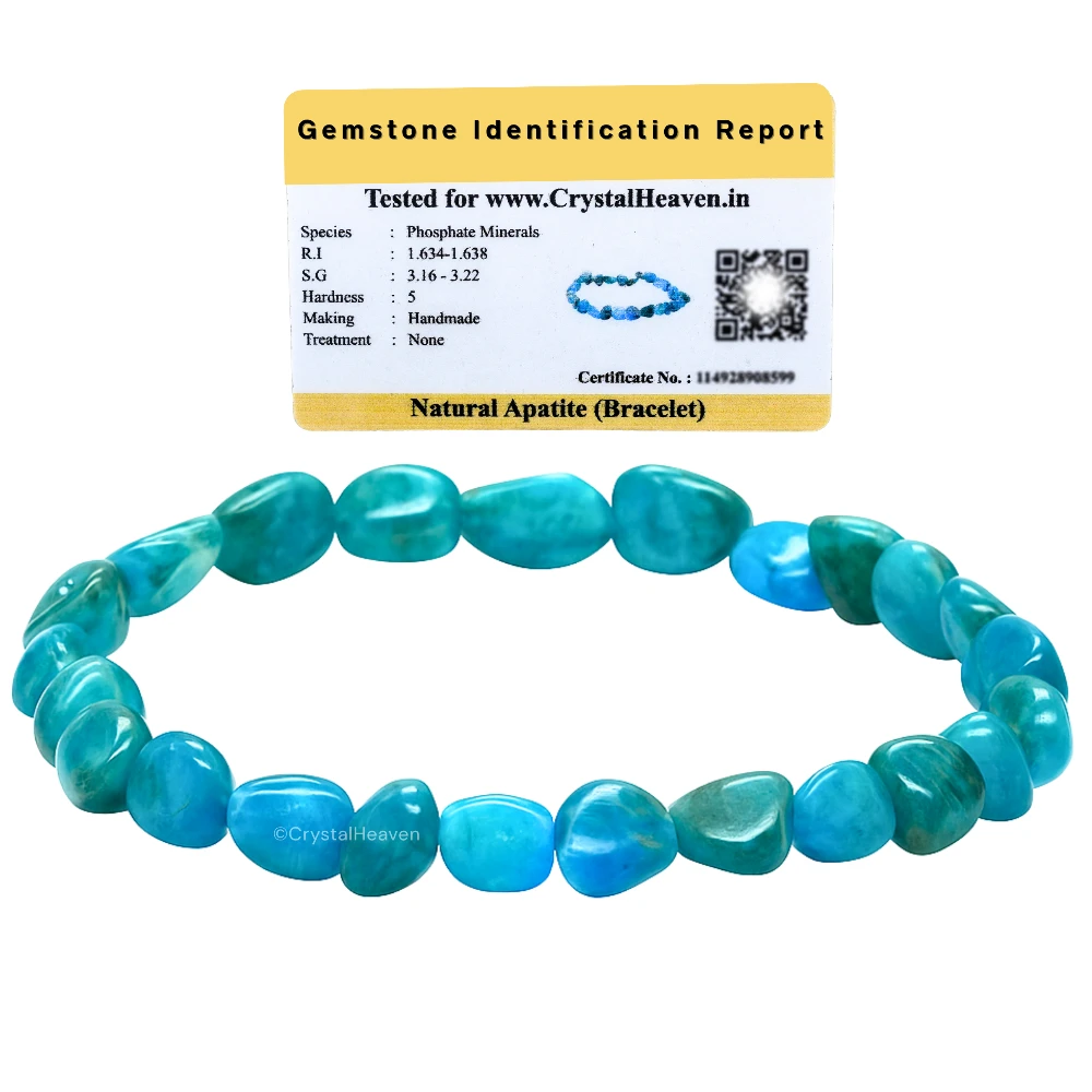 Apatite Tumbled Bracelet (Elastic)