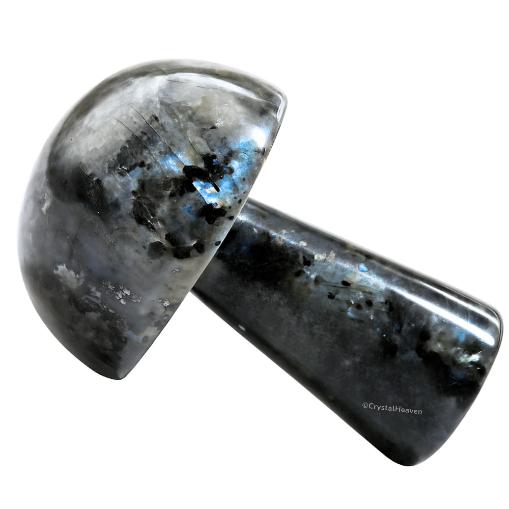 Larvikite Mushroom