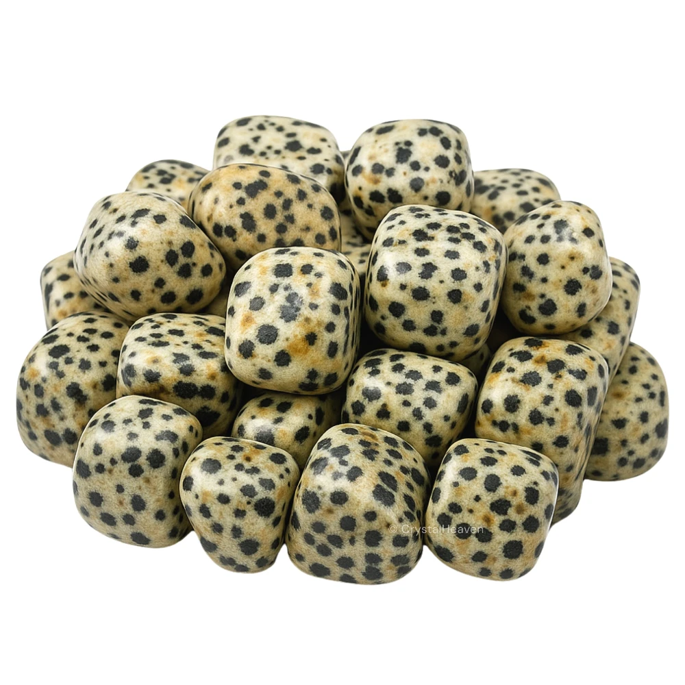 Tumbled Dalmatian jasper Stones (30 Gram)