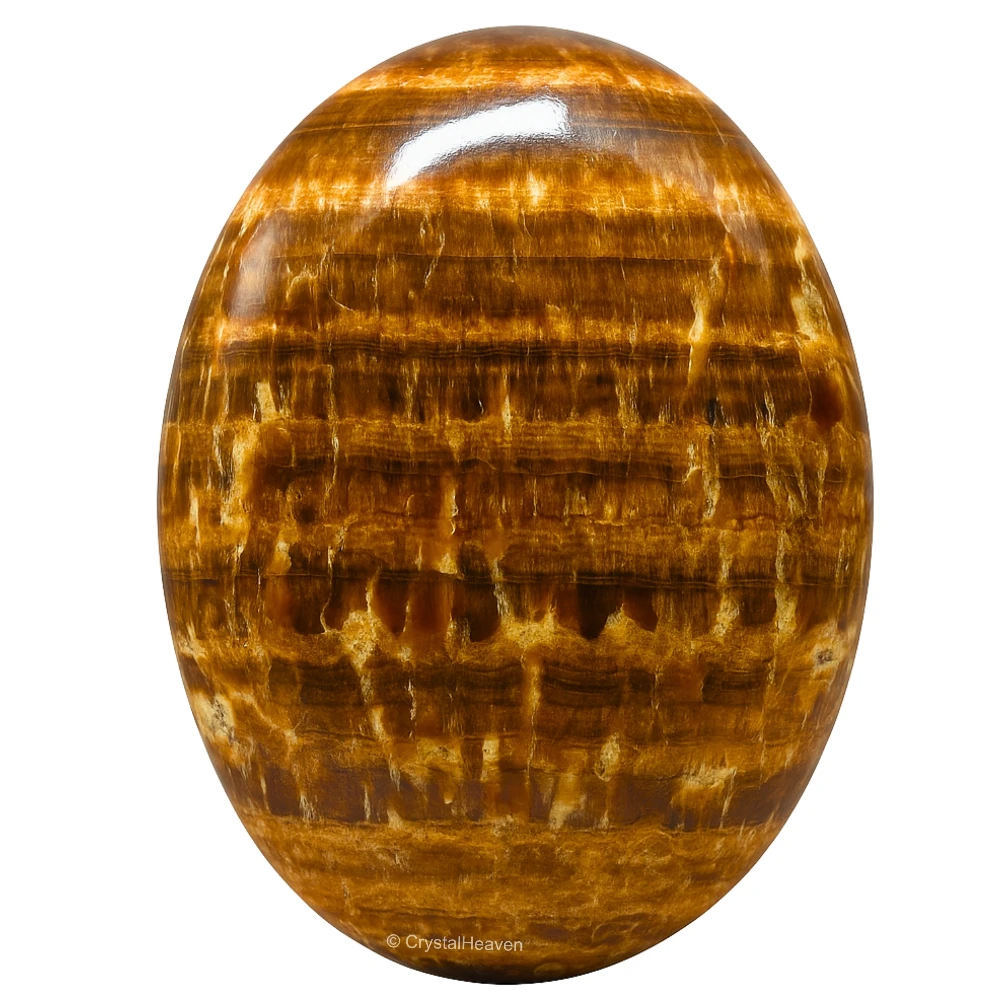 Aragonite Palm Stone