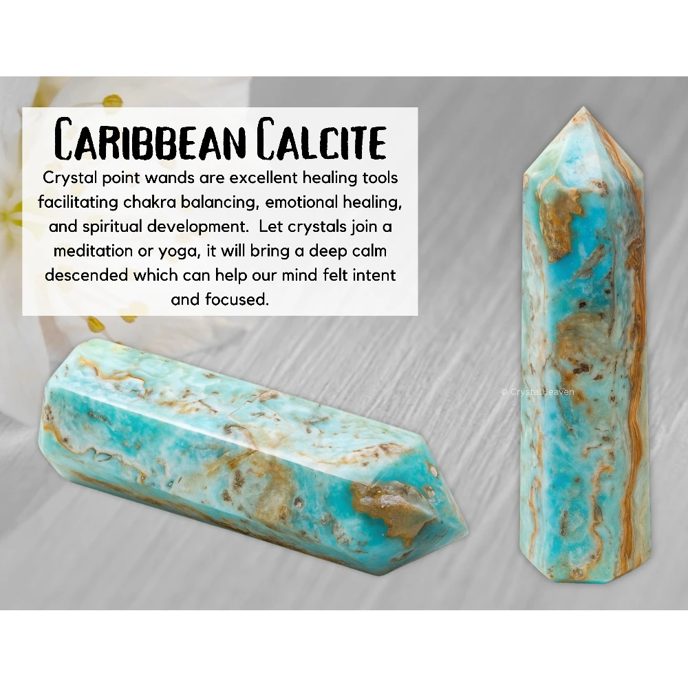 Large Caribbean Calcite Tower