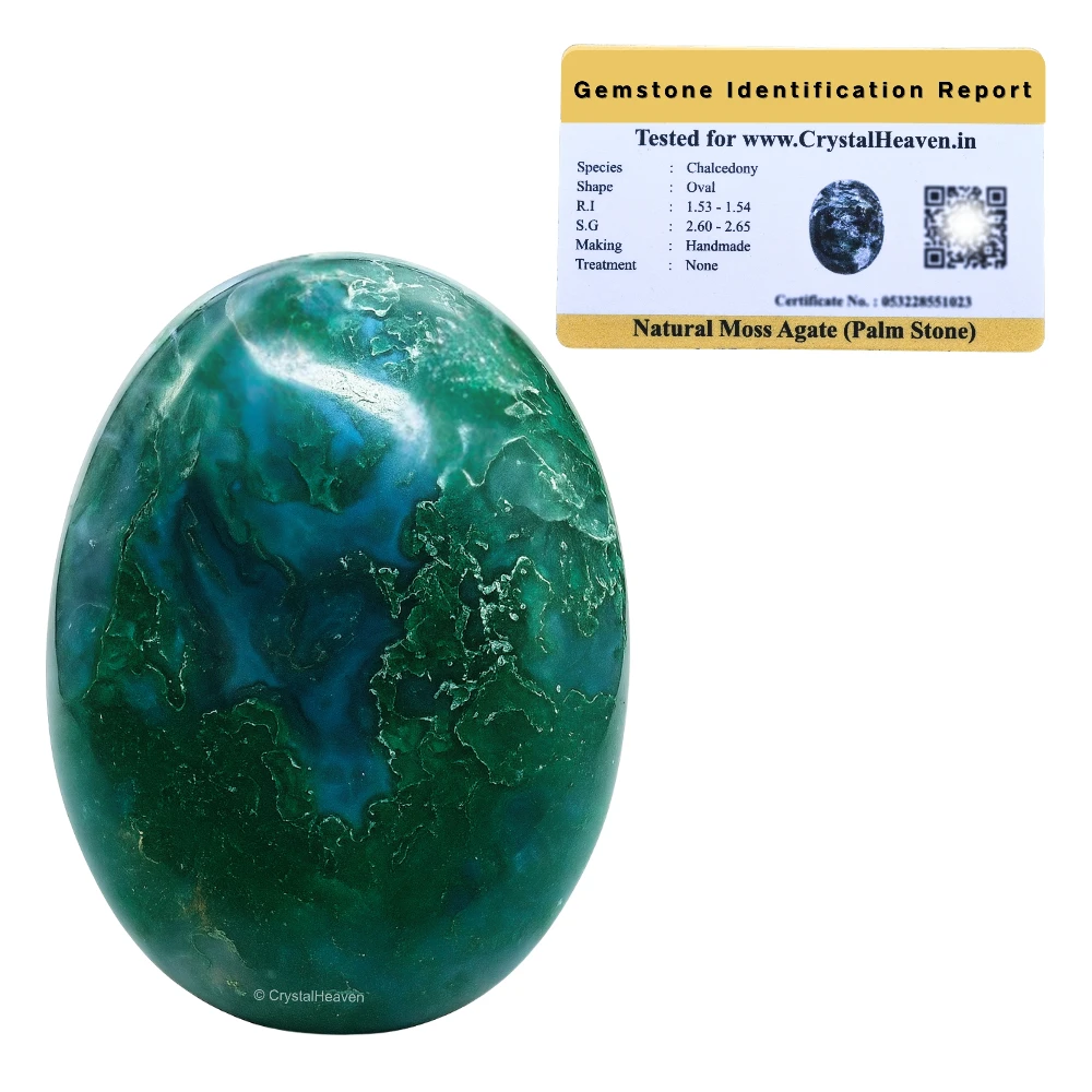 Moss Agate Palm Stone