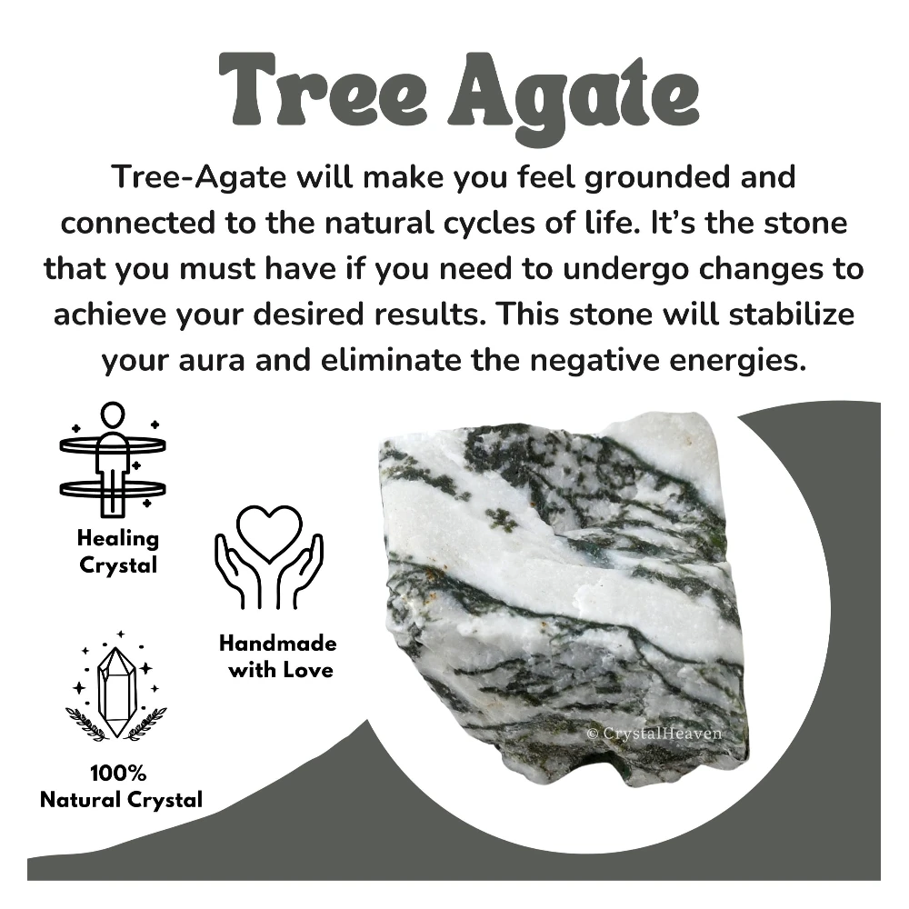 Raw Tree Agate Crystals (1 Piece)