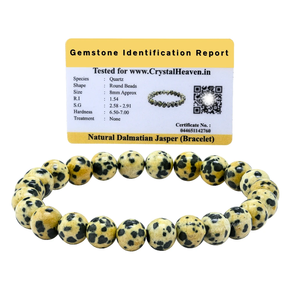 Dalmatian Jasper Bracelet (Elastic)