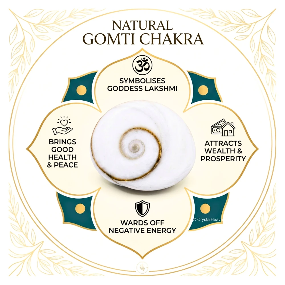 Gomati Chakra Beads (10mm, Set of 11)