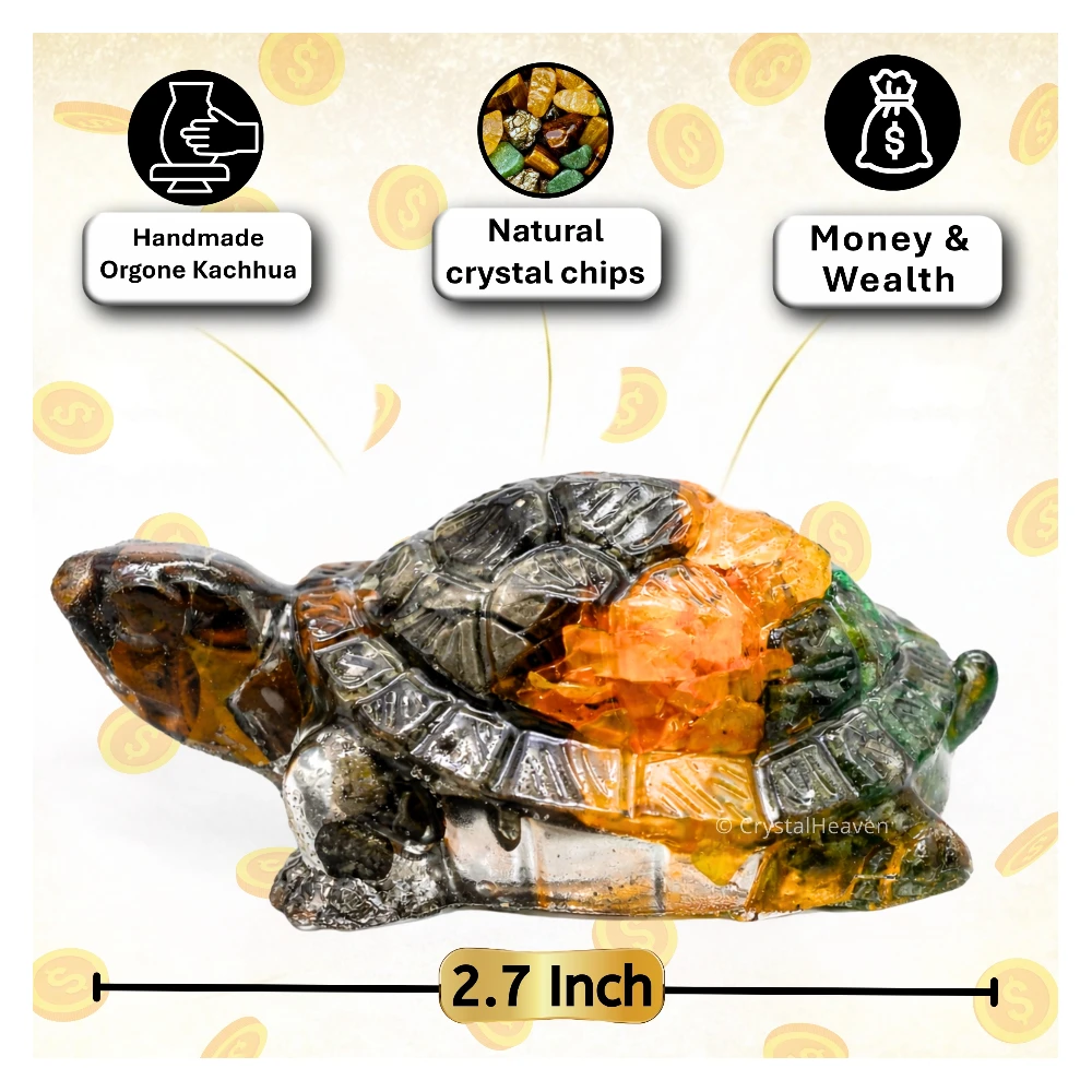 Dhanyog Tortoise Kachhua