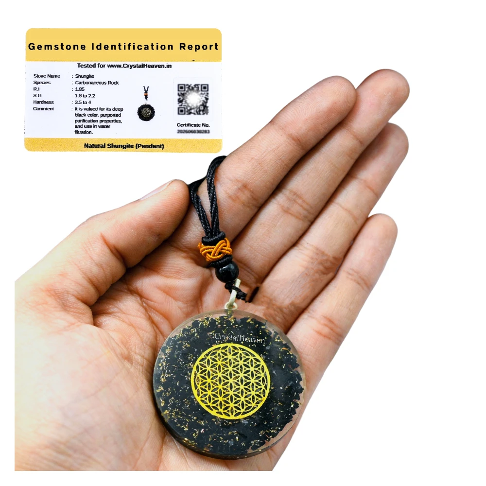 Shungite Necklace - Flower of Life