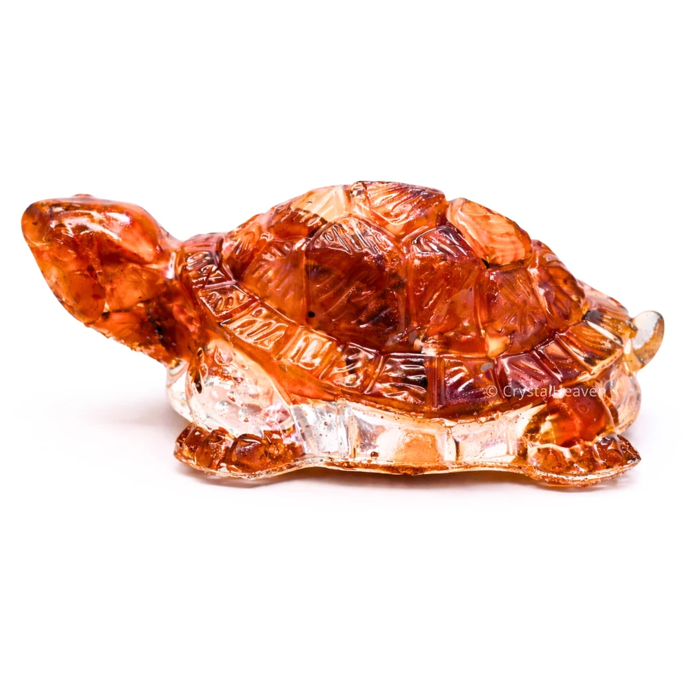 Carnelian Tortoise Kachhua