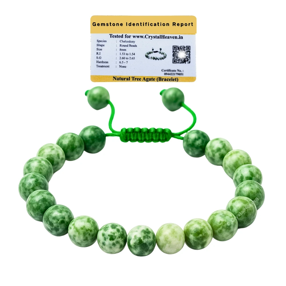 Tree Agate Bracelet (Adjustable)