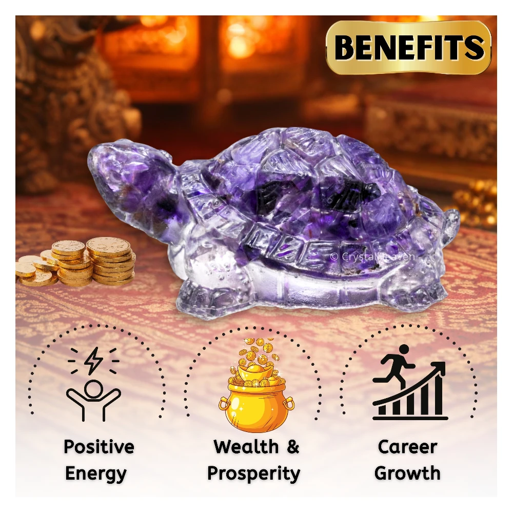 Amethyst Tortoise Kachhua