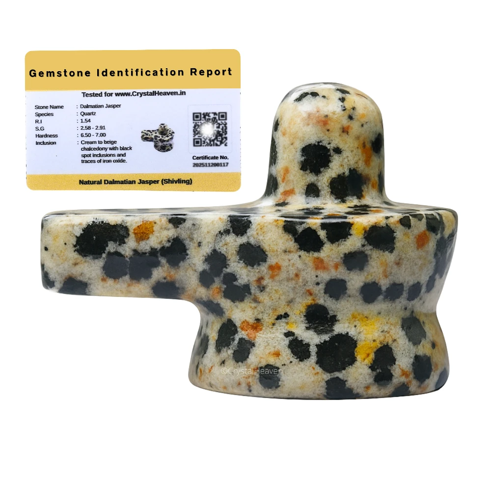 Dalmatian Jasper Shivling