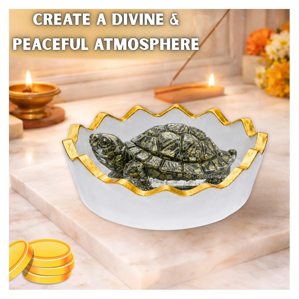 Pyrite Tortoise Kachhua with Selenite (Bowl)
