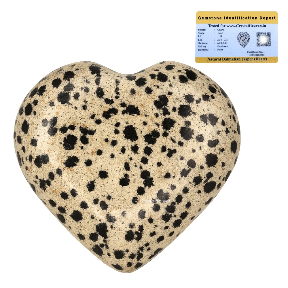 Dalmatian Jasper Heart
