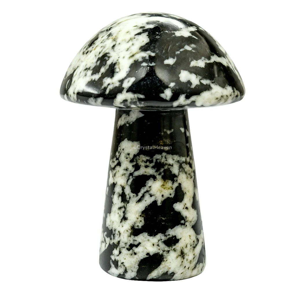 Black and White Tourmaline Mushroom