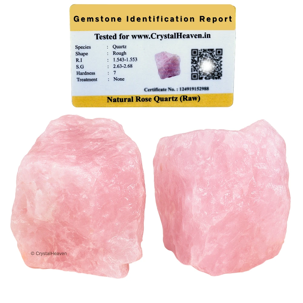 Raw Star Rose Quartz Crystals (5 Pieces)