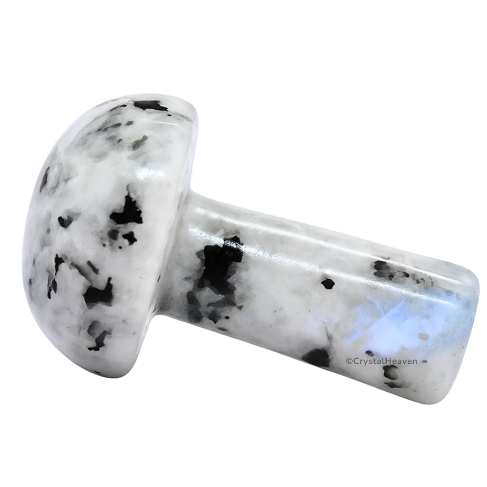 Rainbow Moonstone Mushroom