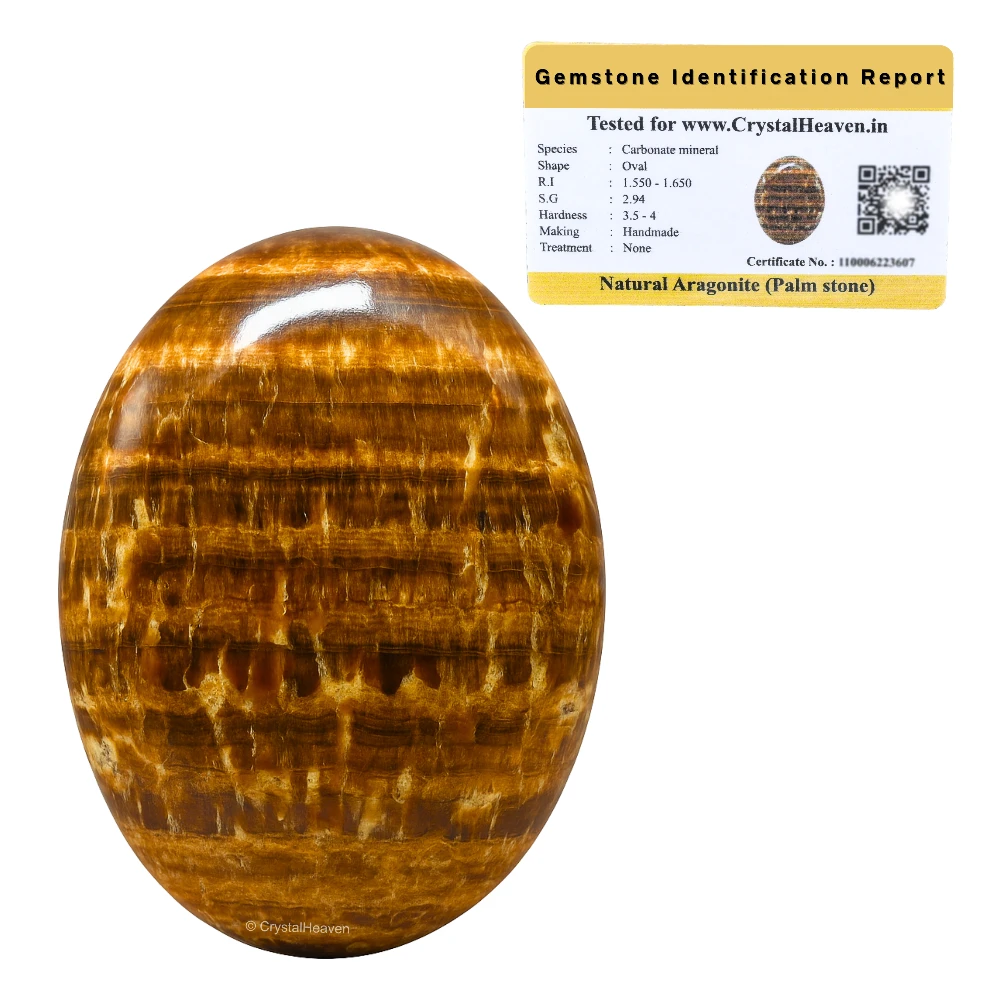 Aragonite Palm Stone