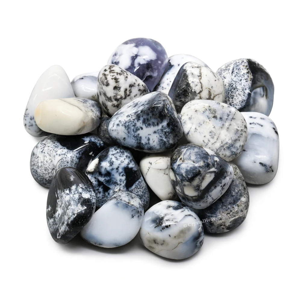 Tumbled Dendrite Opal Stones (30 Gram)