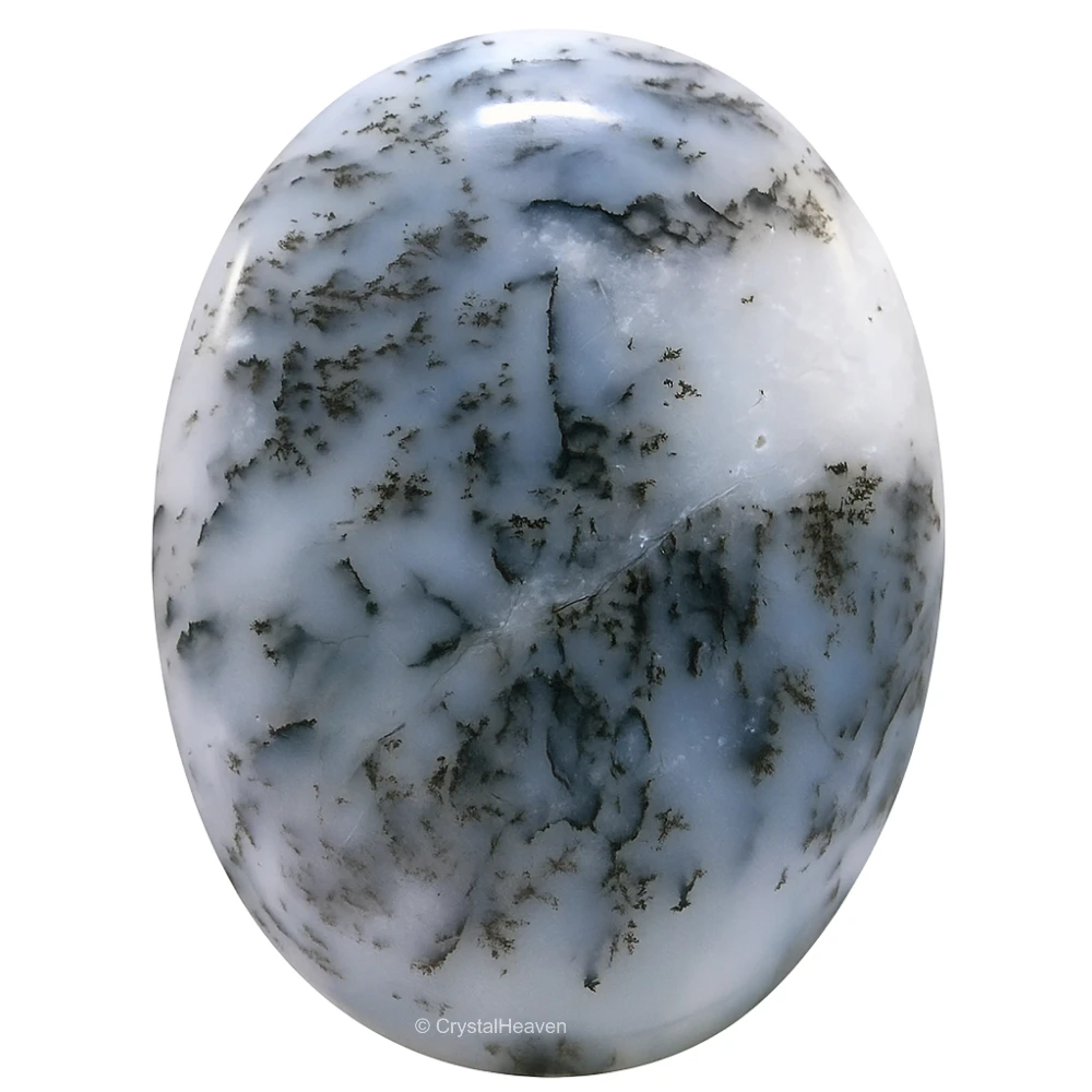 Dendrite Opal Palm Stone