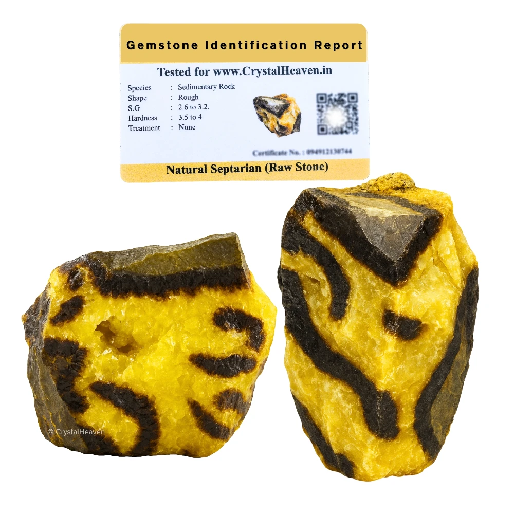 Raw Septarian Crystals (1 Piece)