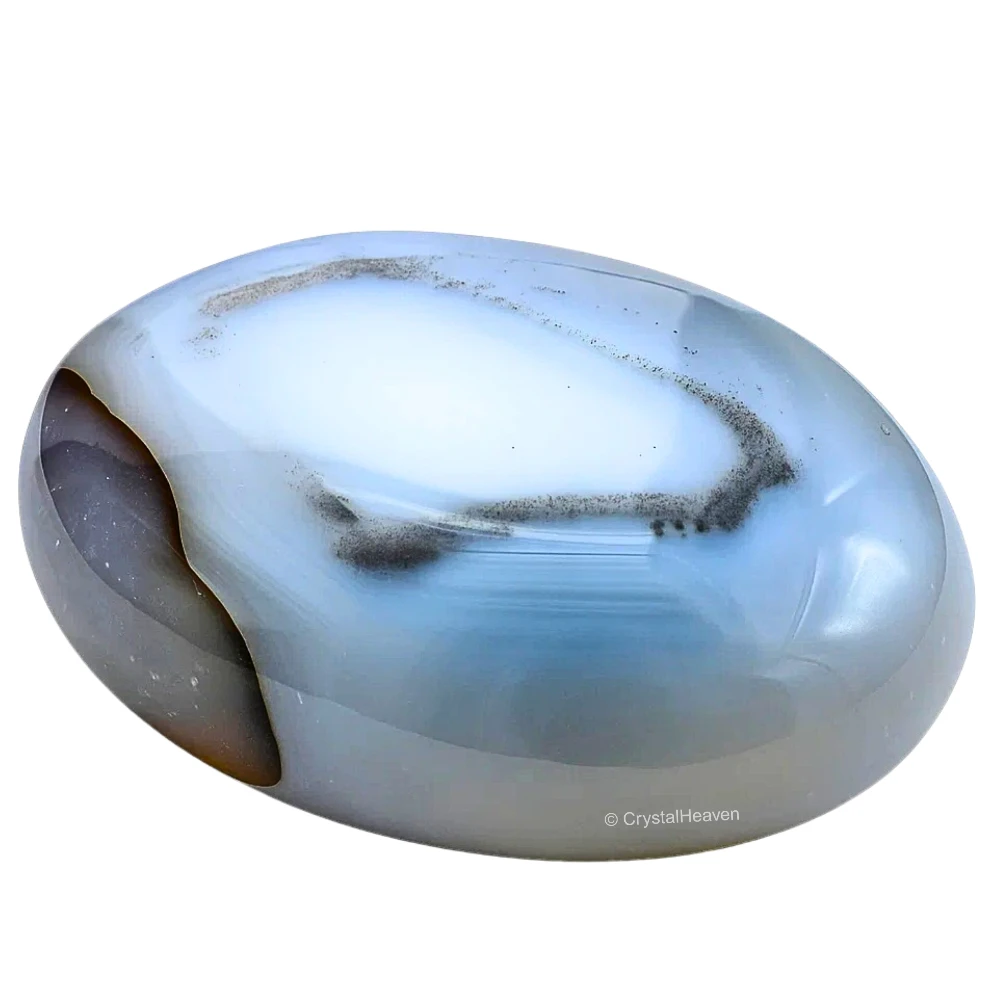 Dendrite Agate Palm Stone