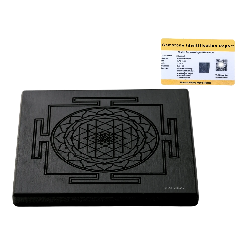 Ebony Wood Karungali Plate - Shree Yantra (3 Inch)