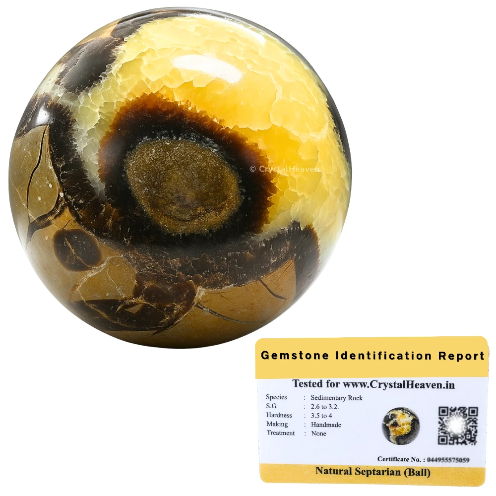 Septarian Sphere (2 Inch)