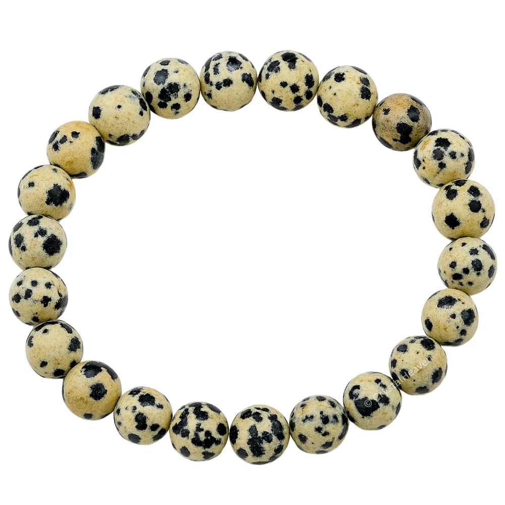 Dalmatian Jasper Bracelet (Elastic)