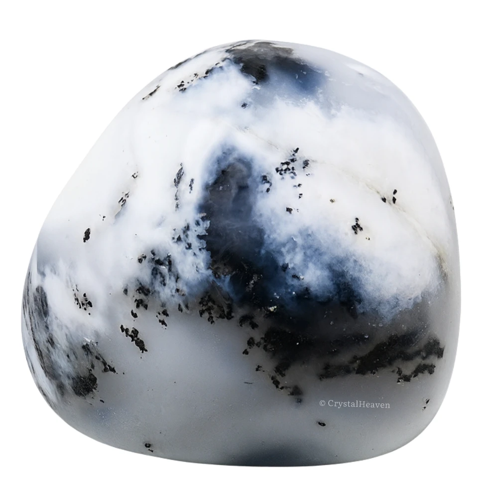 Tumbled Dendrite Opal Stones (30 Gram)